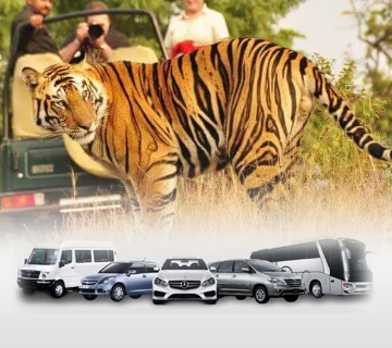 Ranthambore Car Rental Services