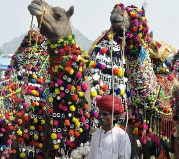 Pushkar Fair